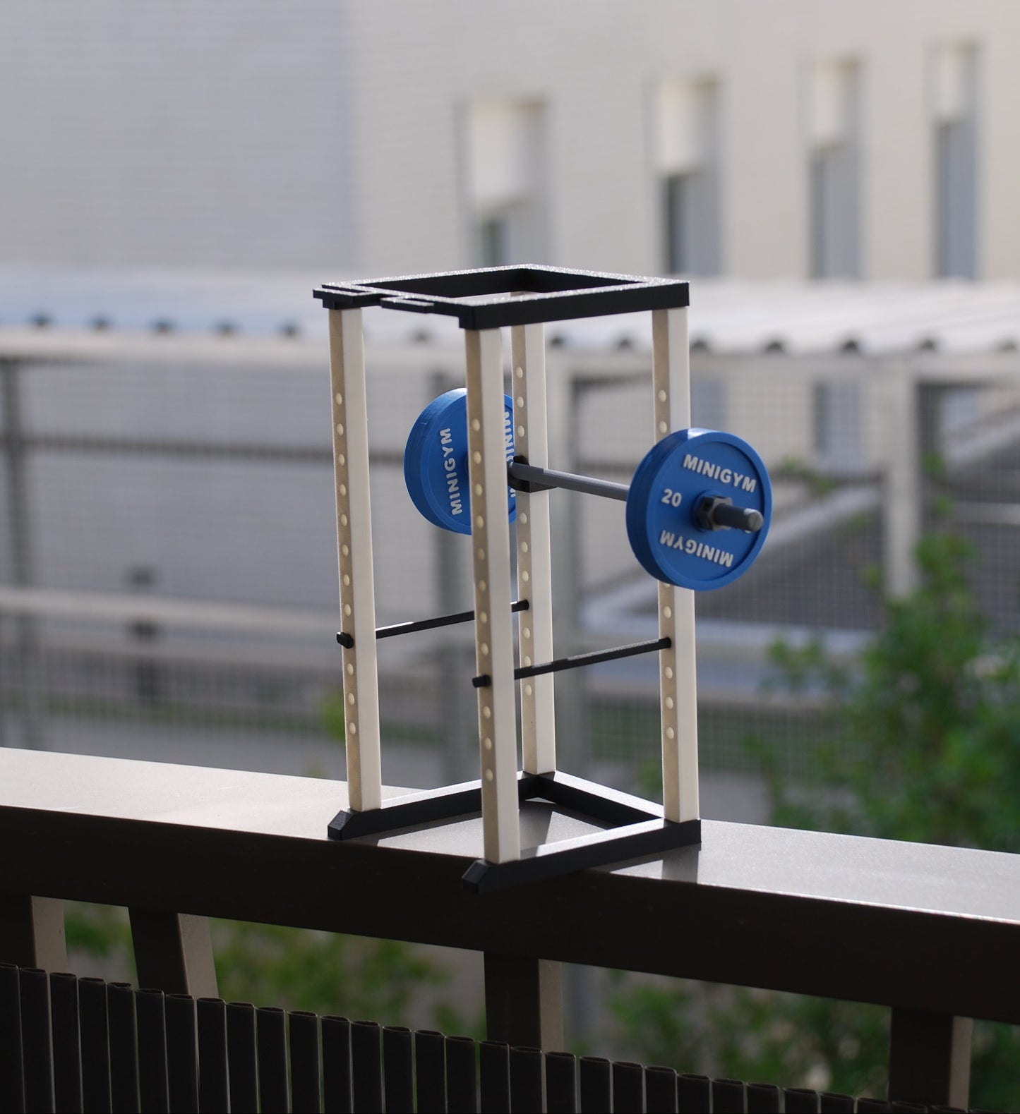 Mini Cage à Squat