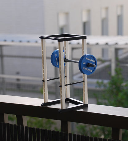 Mini Cage à Squat