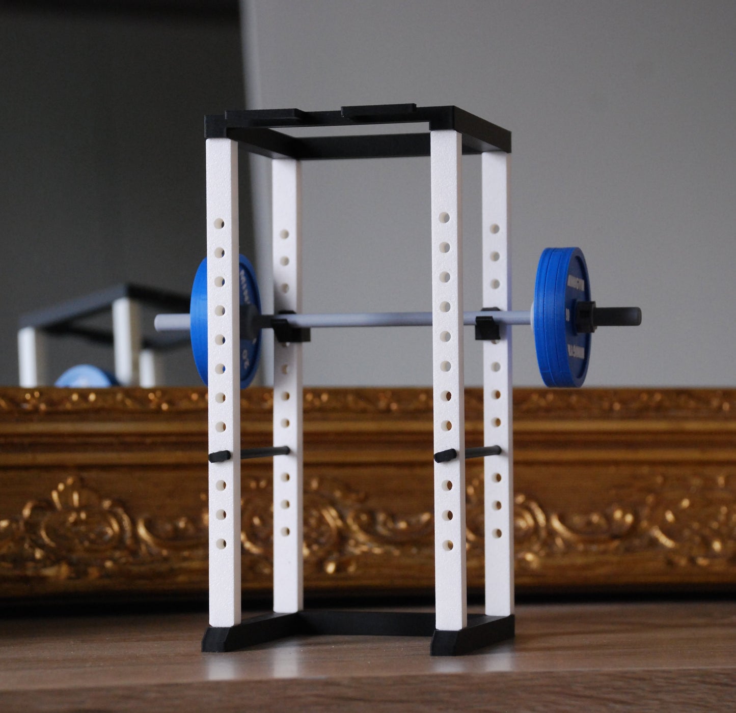 Mini Cage à Squat